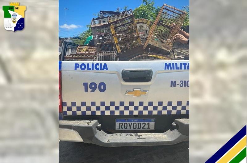 Ação conjunta entre PM e PC apreende 20 pássaros silvestres mantidos em cativeiro em São Cristóvão