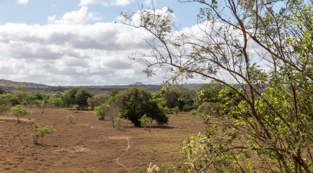 Semana em Sergipe terá possibilidade de chuva leve e registro de altas temperaturas