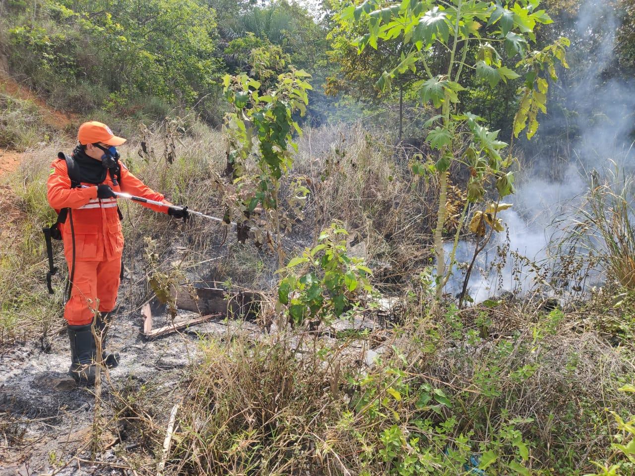 CBM já atendeu 957 ocorrências de incêndio em vegetação desde o início do ano