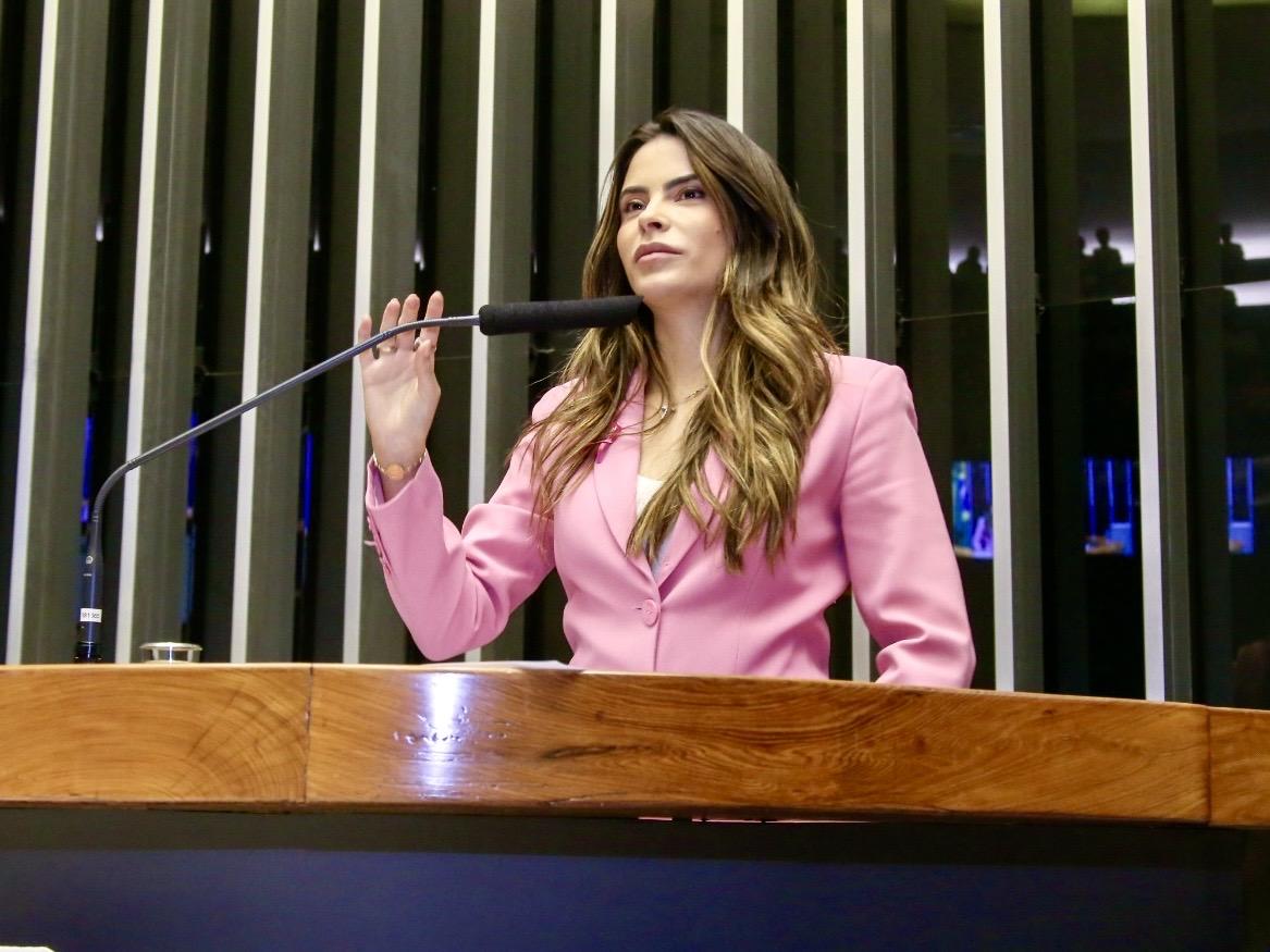 Deputados aprovam parecer sobre formulário de risco para mulher vítima de violência