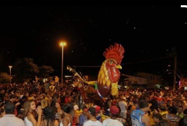 Galo do Augusto Franco: 15 anos de tradição e alegria para toda família