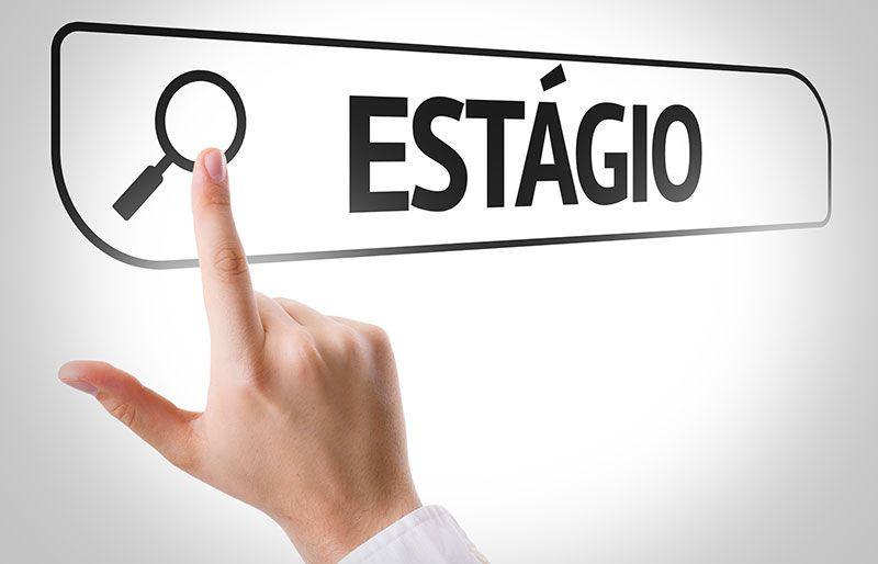 Mosaic Fertilizantes prorroga inscrições para vagas de estágio