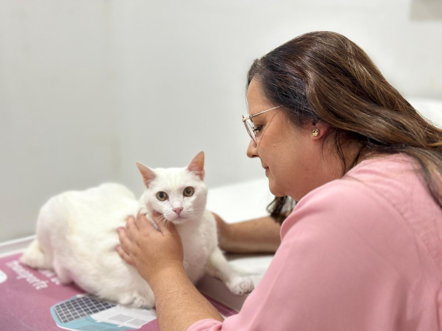 Veterinária ressalta importância dos check-ups para saúde dos gatos