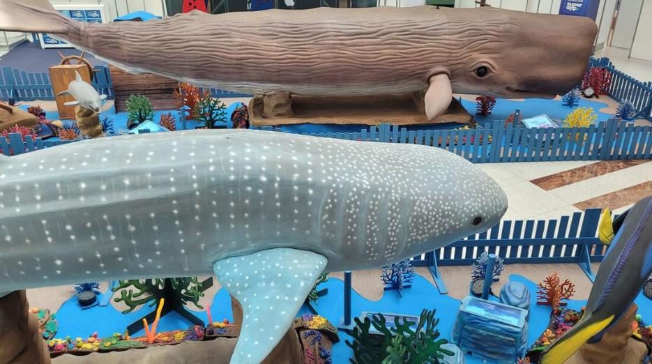 Aracaju recebe a exposição “O Fantástico Mundo Marinho”