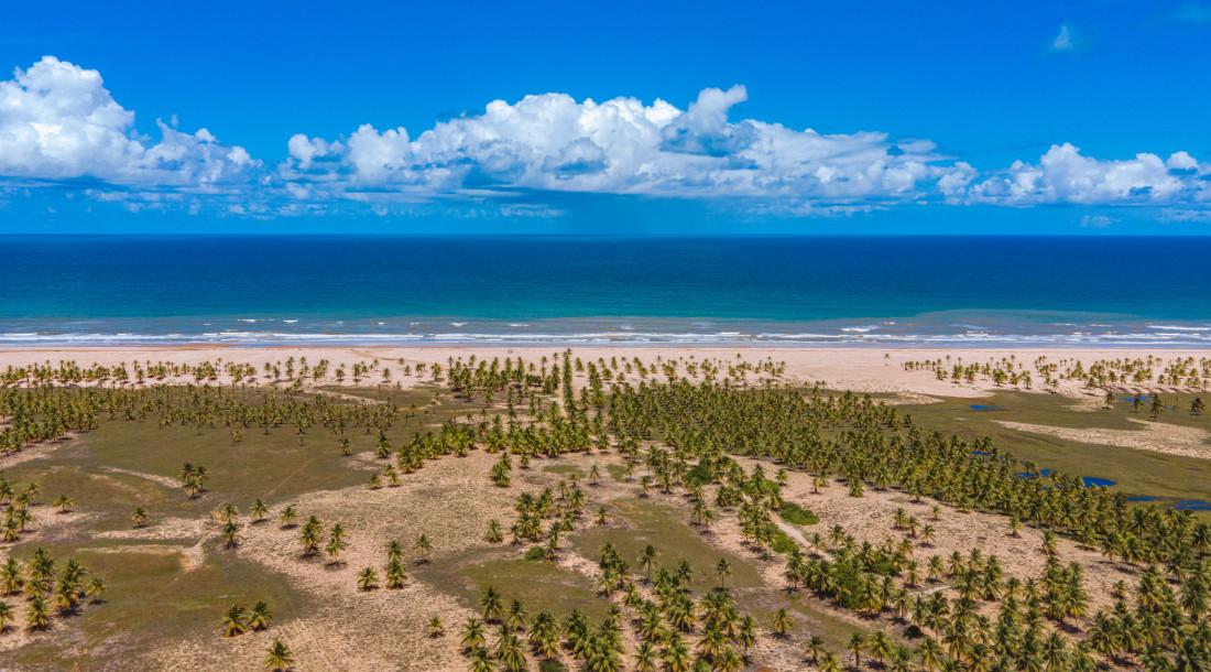 Confira a programação completa do quarto fim de semana do Verão Sergipe 2024