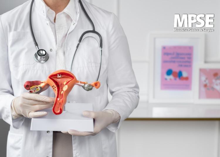 MPSE, Secretaria de Saúde de Aracaju e SES alinham a realização das cirurgias de pacientes com endometriose
