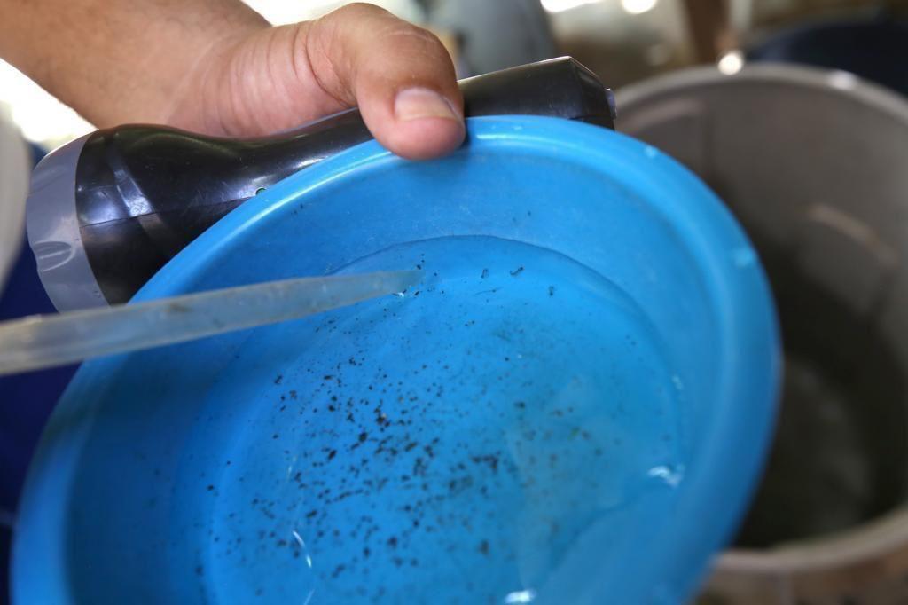 Aedes aegypti: Prefeitura inicia segunda coleta do LIRAa deste ano