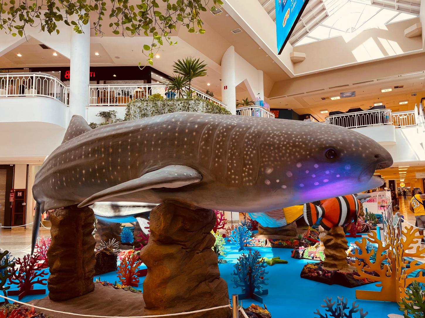 Últimos dias da expo 'O Fantástico Mundo Marinho' em Aracaju
