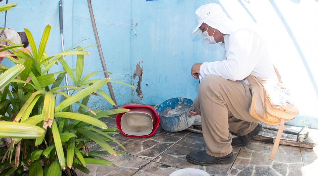 3º LIRAa de 2024 identifica dez cidades com alto índice de infestação do Aedes