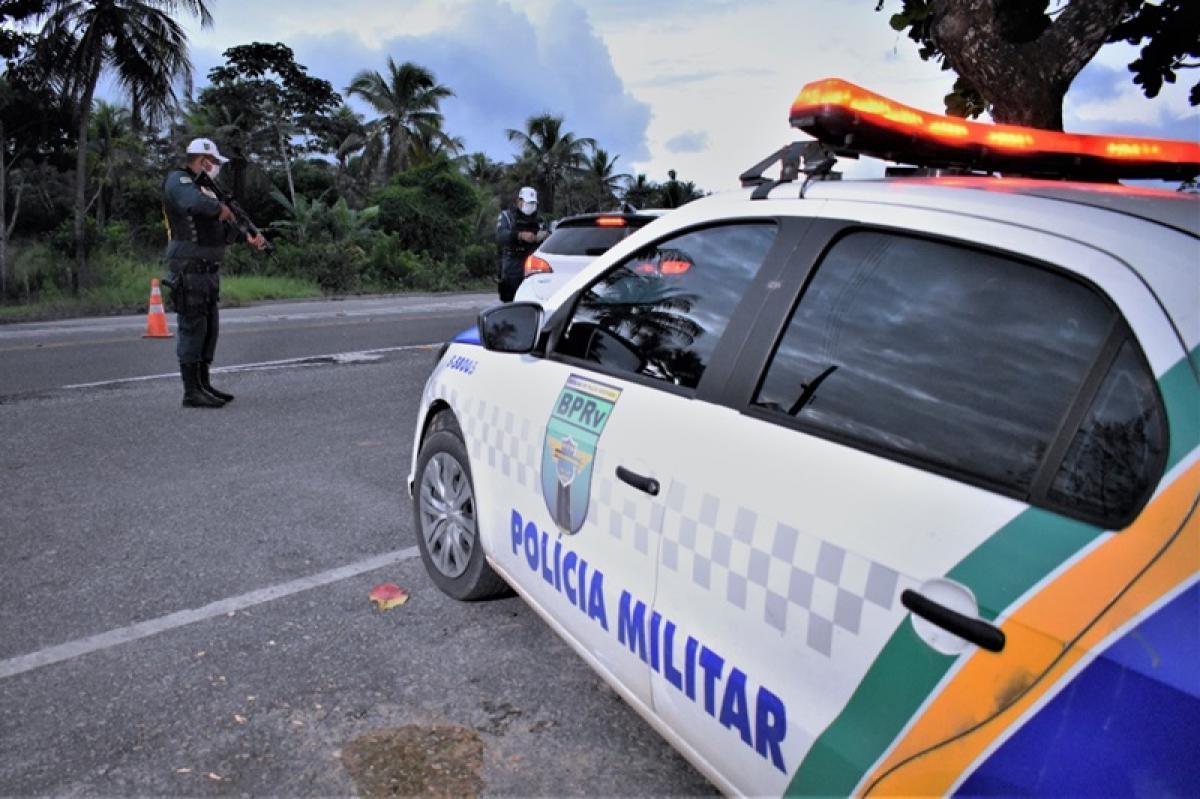 PM apreende 224 animais em rodovias estaduais e alerta para responsabilização criminal