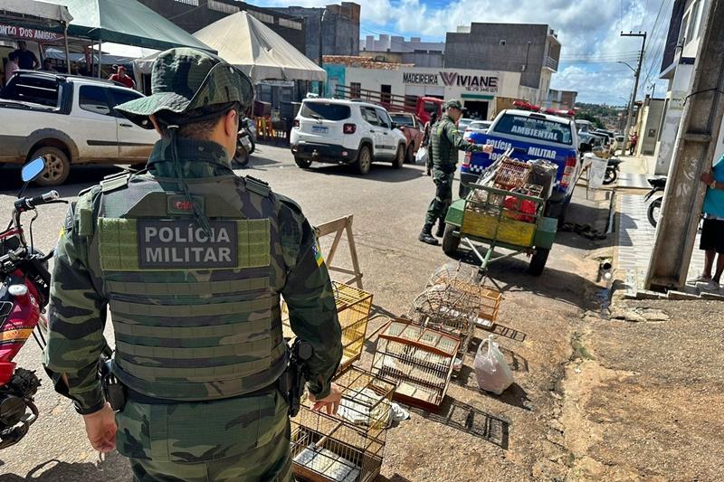 Polícia Militar resgata 56 pássaros silvestres na feira livre no município de Carira