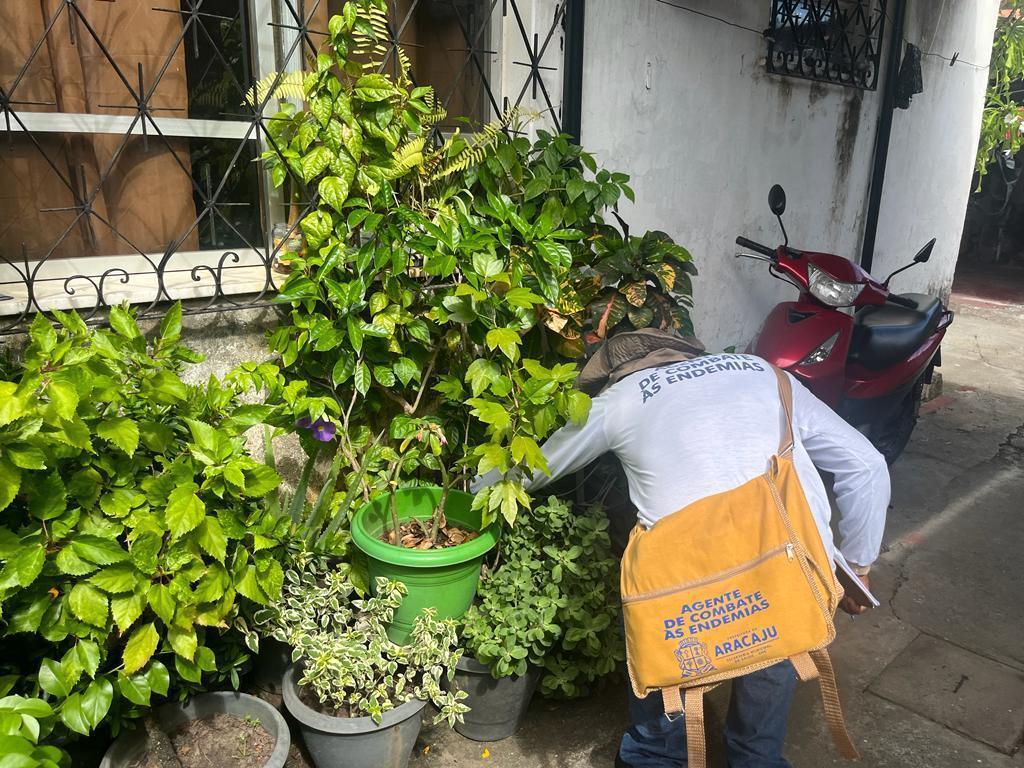 Prefeitura continua intensificando plano de ações de combate ao Aedes