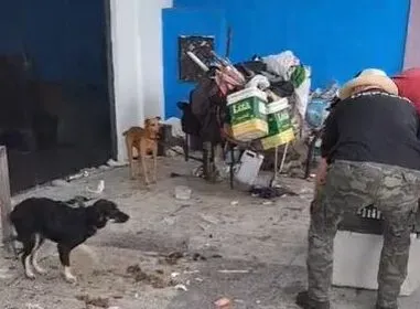 PC resgata dois cachorros estavam amarrados em coleiras curtas e sem alimentação na Avenida Augusto Franco
