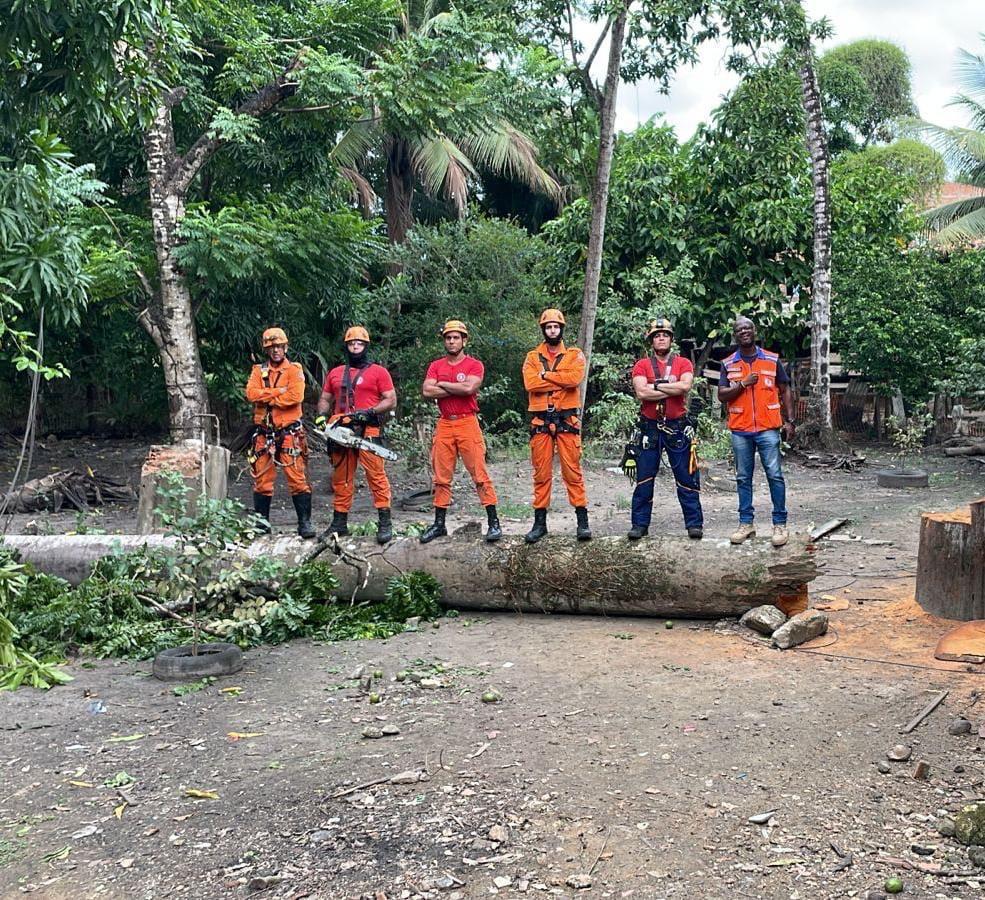 Defesa Civil de Laranjeiras realiza trabalho preventivo e minimiza impactos no período chuvoso