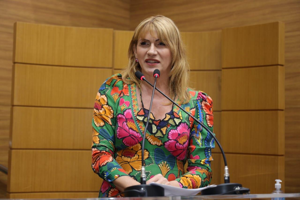 Deputada Linda Brasil destaca desafios na implementação de Leis sobre Doulas e Violência Doméstica