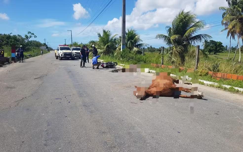 Passageiro morre e motociclista fica ferido apos atropelar cavalo no município de Ilha das Flores