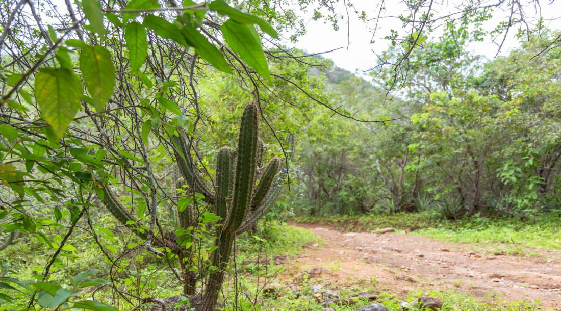 Sergipe fica livre de seca pelo segundo mês consecutivo