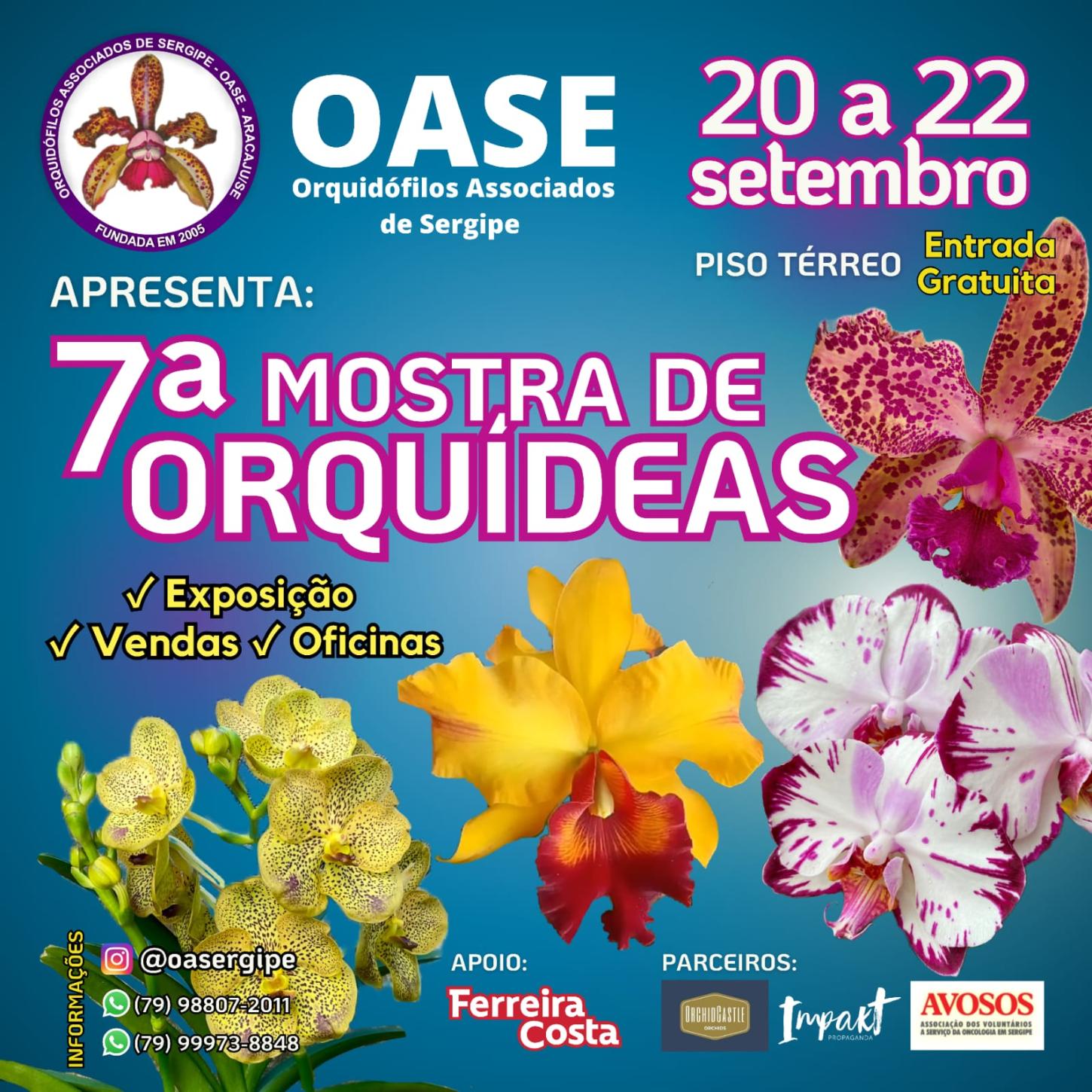 Aracaju sediará a 7ª mostra de orquídeas no mês de setembro