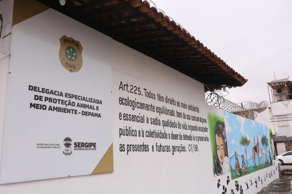 PC e Emsurb resgatam e apreendem cavalos em situação de maus-tratos e abandono em Aracaju