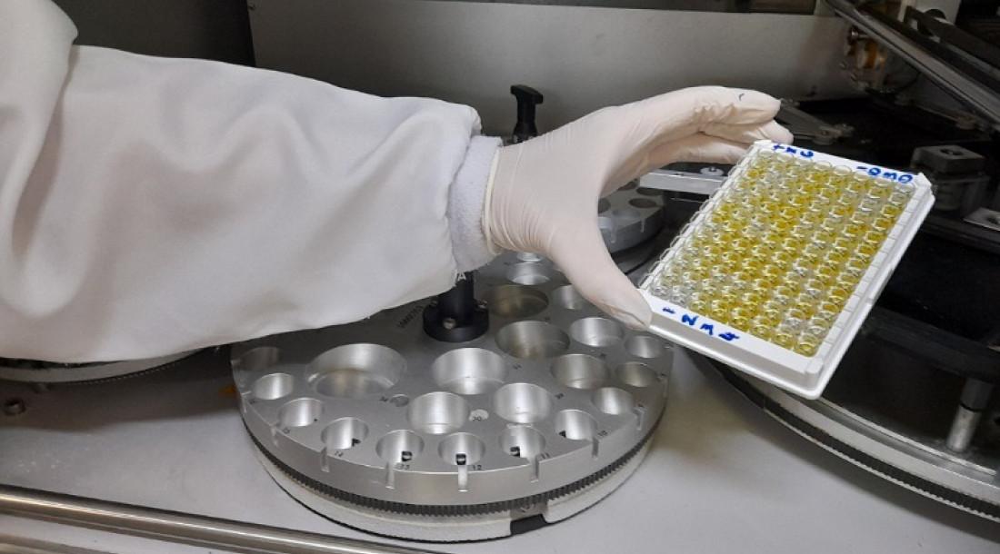 Sergipe continua monitorando casos de contaminação pelos vírus oropouche e mpox