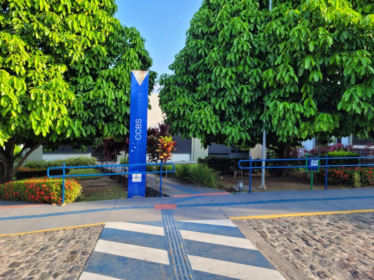 CVV em Aracaju inicia Grupo de Apoio aos Sobreviventes do Suicídio em parceria com UFS