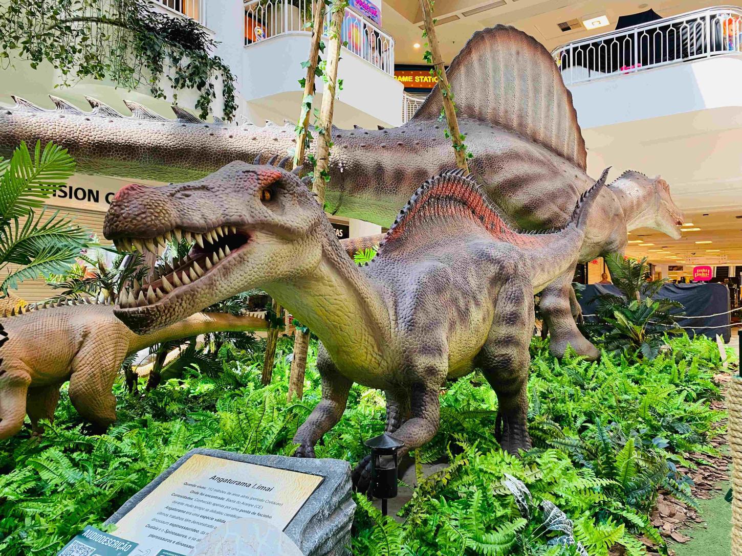 'Pequenos Exploradores' presenteia as crianças com copos exclusivos