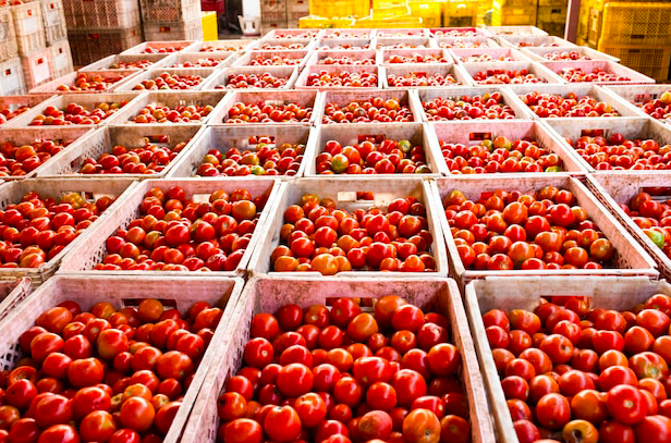 Tomate, ovo e café puxam inflação de março, que atinge 0,56%