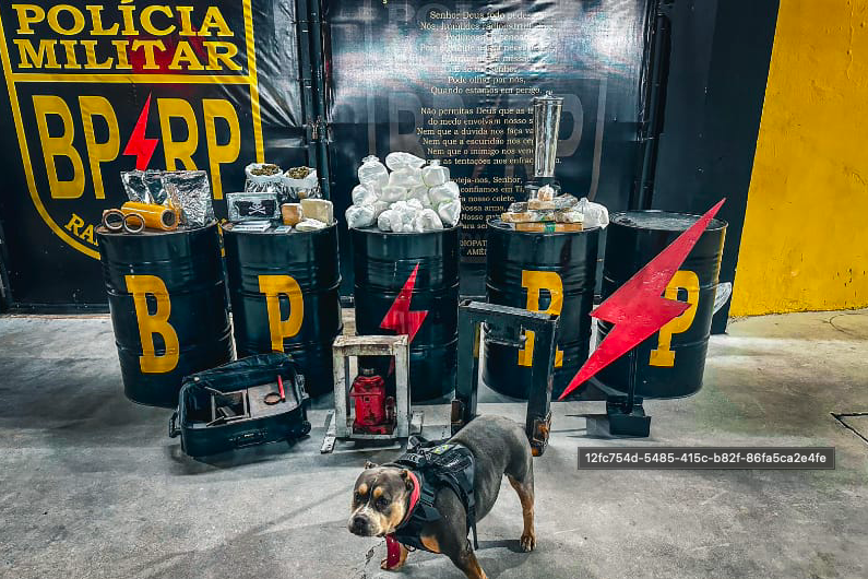Policiais do BPRp apreendem cerca de 27 kg de drogas no Marivan