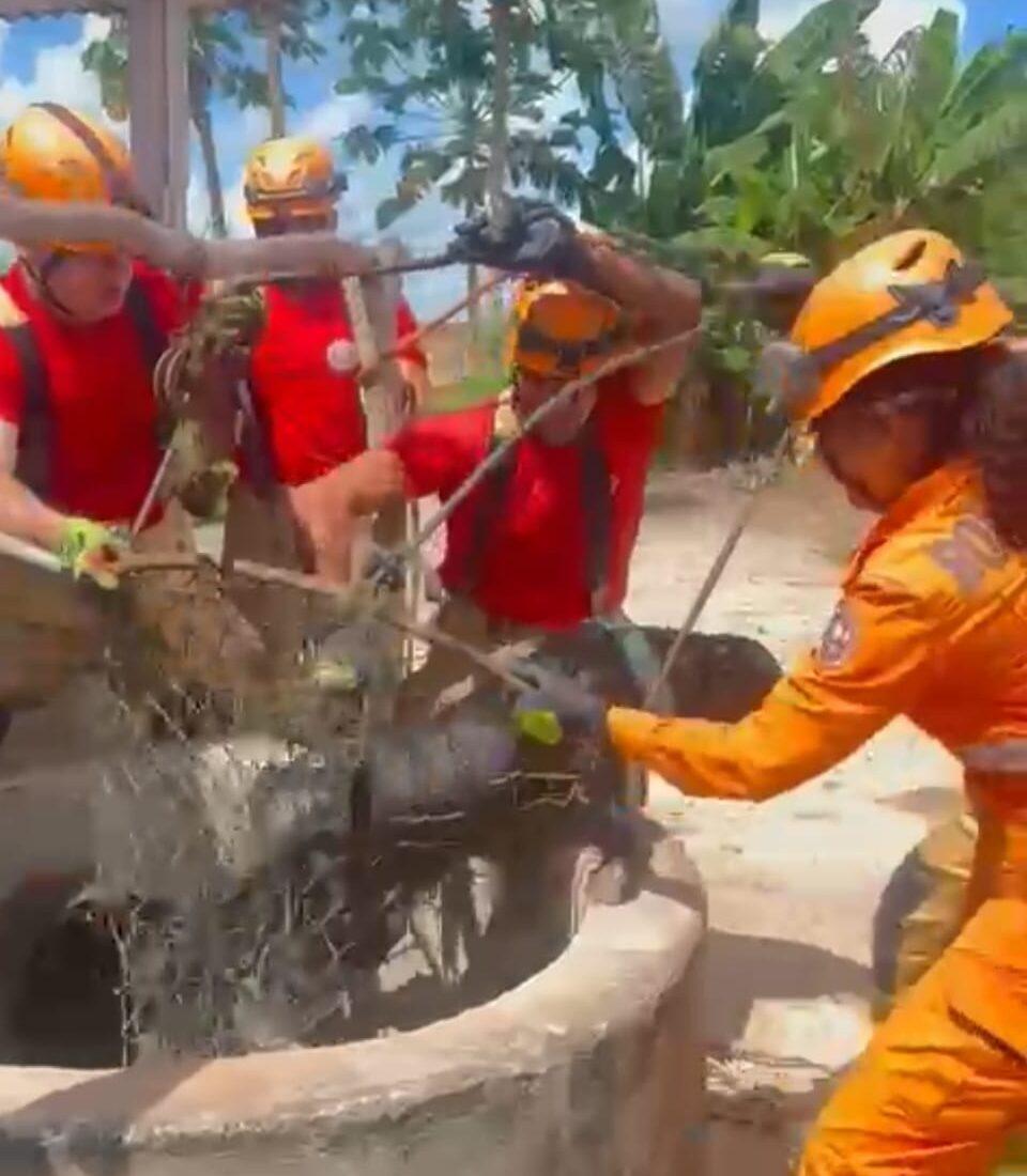 Cachorro cai em cisterna e resgatado por bombeiros
