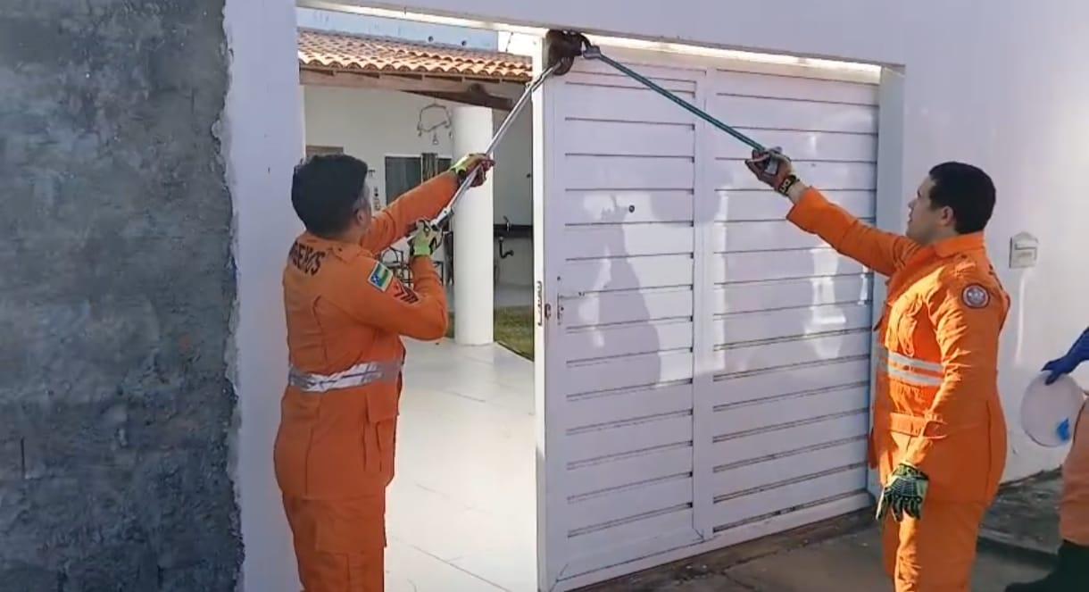 Jiboia de cerca de um metro é encontrada presa em portão de casa no Robalo, em Aracaju