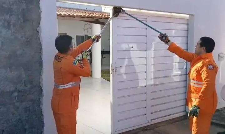 Jiboia de cerca de um metro é encontrada presa em portão de casa no Robalo, em Aracaju