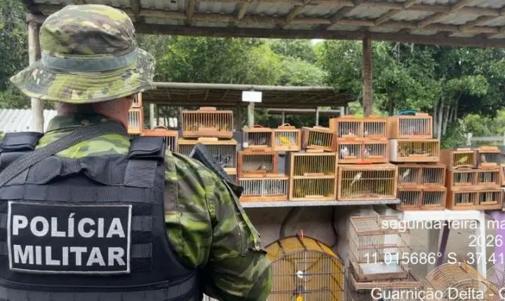 Mais de 150 aves silvestres são apreendidas em Lagarto